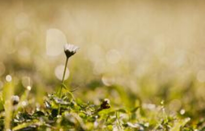 ����һ���ǣ�����һƬ��