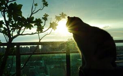 看得太远,未必就好!