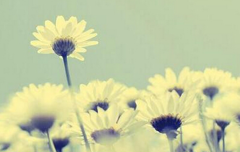 ��ü��������������