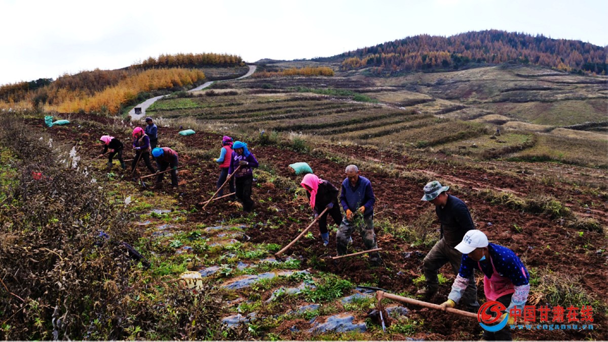 4fe80d89b87eff2e239efe7ac7575c92.jpg nEO_IMG_图片10.jpg