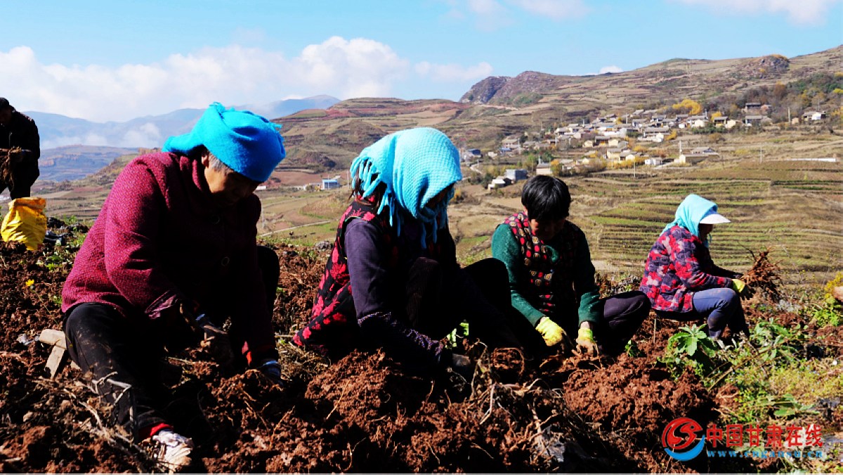 8a3541a7331d4ceb7c5a67f3c478389a.jpg nEO_IMG_图片9.jpg