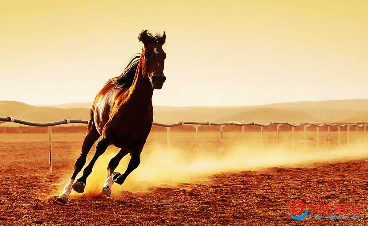 8491b5bc9f424ac24f840221a70b78a0.jpg nEO_IMG_5.jpg