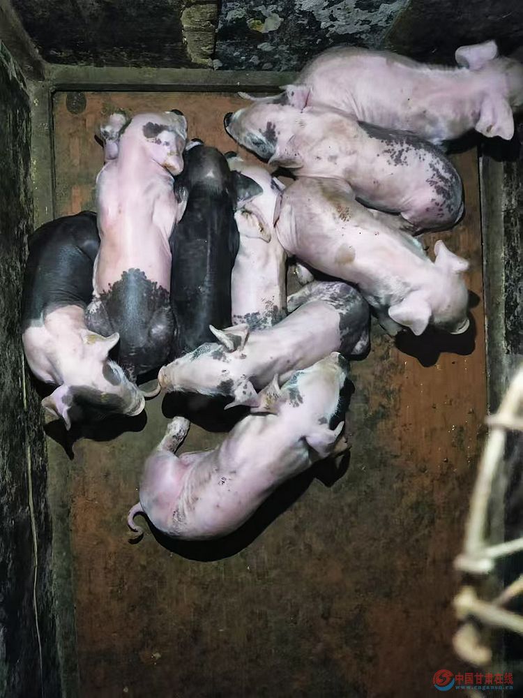 35c86c6a67dd6396358cf1cdb83bceb9.jpg nEO_IMG_图片65.jpg