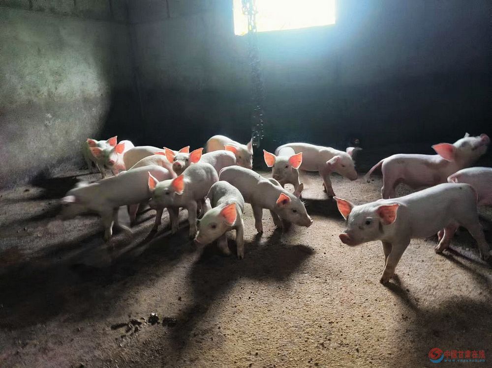 f9f59e574bf582f7d54b07b864214ff5.jpg nEO_IMG_图片68.jpg