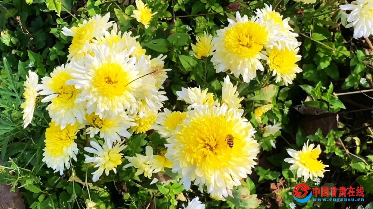 0d934dc5285571de6b247564792b99bf.jpg nEO_IMG_图片42.jpg