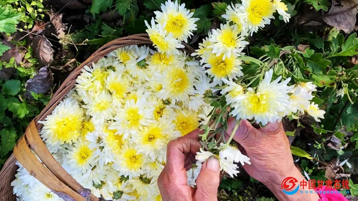 da91d27c84a87476421b32f73210776b.jpg nEO_IMG_图片41.jpg