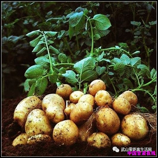 768479559cded4139d83319cae175ecb.jpg nEO_IMG_1.jpg