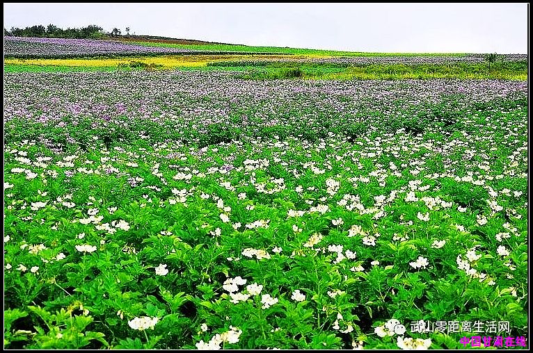 8eaa96be9eecbad0f9b64c98a8005e30.jpg nEO_IMG_2.jpg