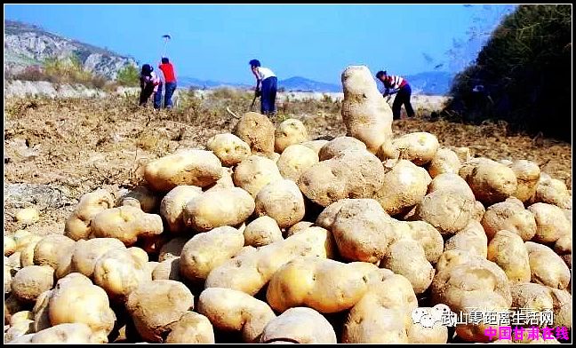 c89d59521935e0bc1e31b6f617f09973.jpg nEO_IMG_3.jpg