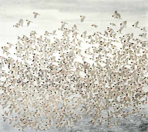 《放飞梦想》 《放飞梦想》