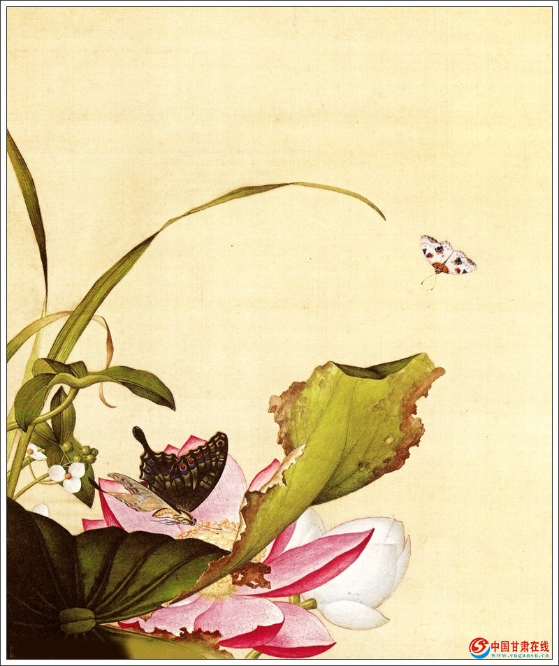 郎世宁花鸟作品赏析(二)