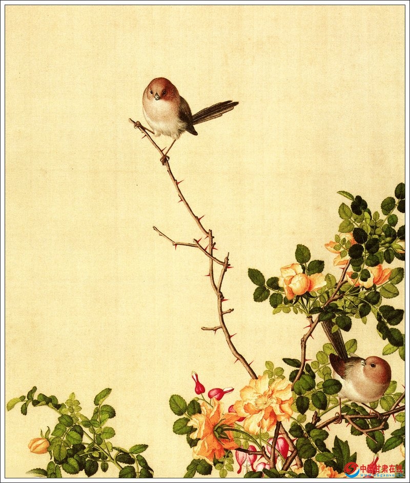 郎世宁花鸟作品赏析(二)