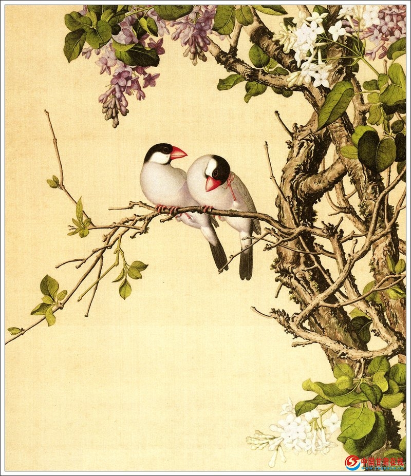 郎世宁花鸟作品赏析(二)