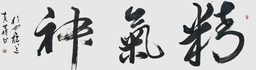 《精气神》 《精气神》