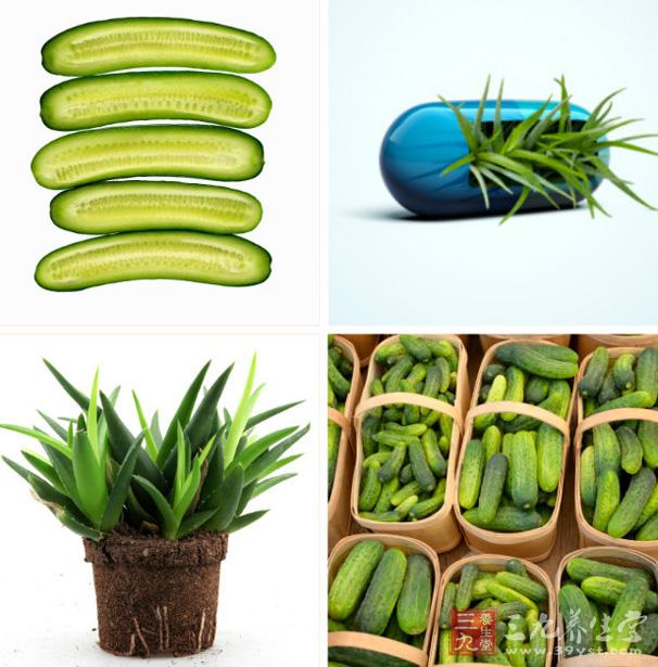 «��Ҷ���ƹ�+���������