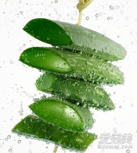 «����Ĥ������ ��Ҫ�����������