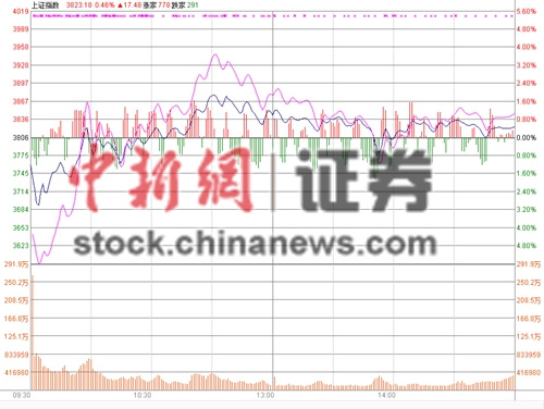 ��ָ��������0.46%��ռ�������3800���ʧ