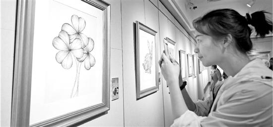 42գݾٰ조ǵĻѧ滭չԱ֢ѧĻ »緢