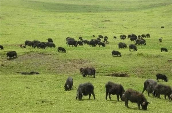 ϵ<a href=http://www.cngansu.cn/news/ target=_blank class=infotextkey></a>ʳ