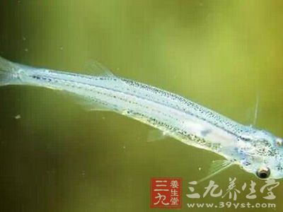 ��ǩ��,һ�������ڵ�ˮ�е�΢С������