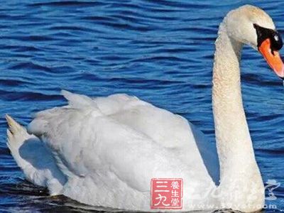 ���ܵ�����ʱ,�����÷ǳ�����������