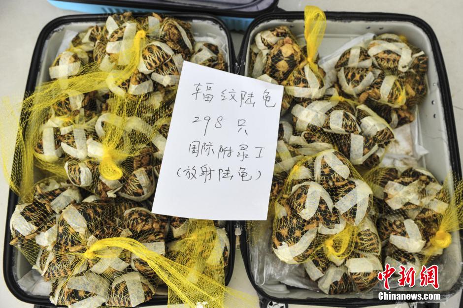 ͼΪɭֹػ˽½ꡣ 緢 F 