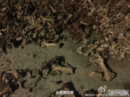 曝四川小学用恶臭