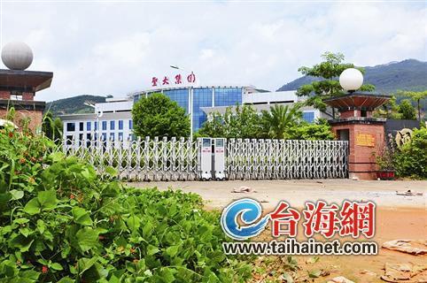 圣大公司人去楼空,门口淤泥杂草为伴