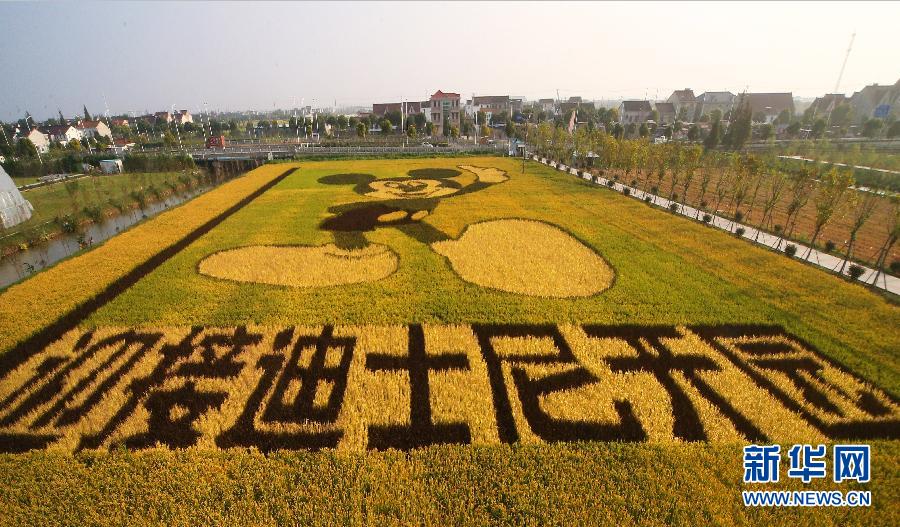 #ᣩ4󡱵ﻭӭӵʿ仧Ϻ