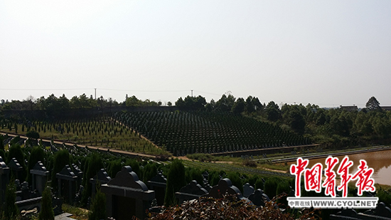 ʱĸɼĹسΪִĽ㡣 ˷/