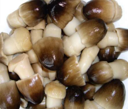 ½Ұ5.2 ·賤ֱﵽ40