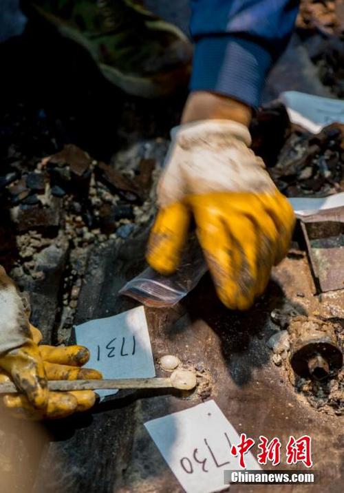 南昌西汉大墓出土珍贵虫珀 如葡萄般大小(组图)