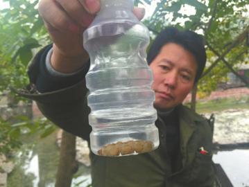 三苏祠博物馆内,挖了两米才挖出白蚁巢。