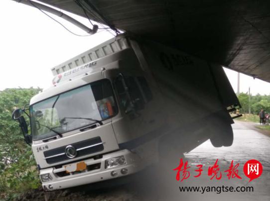 初恋变人妻撞高架 年轻司机埋头痛哭“含悲”开车出事故