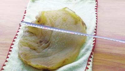 <a href=http://www.cngansu.cn/news/ target=_blank class=infotextkey>甘肃</a>一工人草坪挖出“太岁” 专家:已有千年(图)