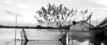 ܴӰ죬гСϺӦƽÿ2-3Ԫ