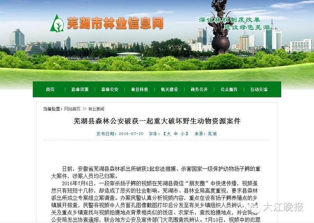 安徽:洪水中出逃的扬子鳄遭“锅烫开膛”(图)