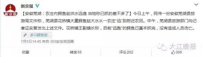 安徽:洪水中出逃的扬子鳄遭“锅烫开膛”(图)4