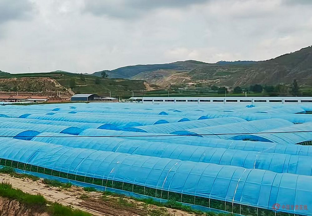 a7881638b1f55a5207eaede893815615.jpg nEO_IMG_图片12.jpg