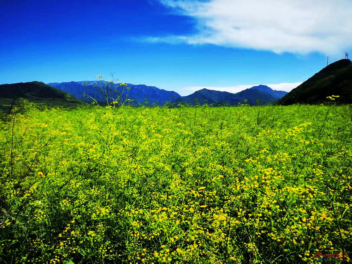 4c716cb7a86b3a88f5569174108bb126.jpg nEO_IMG_图片14.jpg