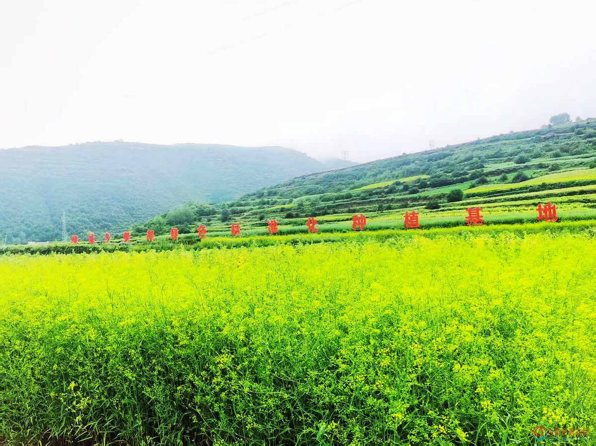 c6fa921337143e1da9122d858f02e07b.jpg nEO_IMG_图片15.jpg