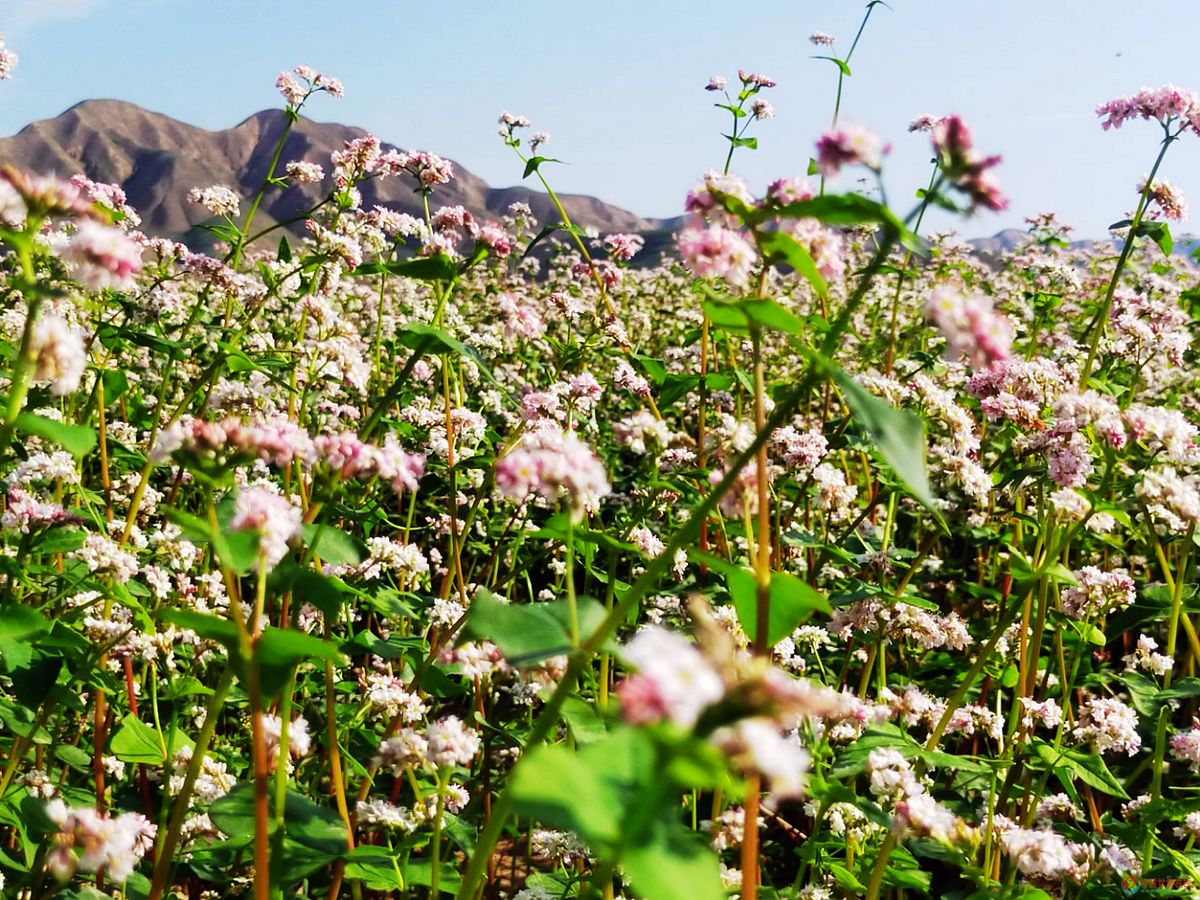 7c75dc0157407543f8173fb765d2e4b1.jpg nEO_IMG_图片173.jpg