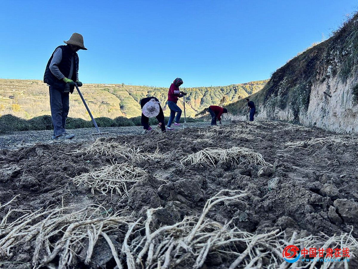 97e17510f4b5a000c41d503d819778a9.jpg nEO_IMG_图片4.jpg