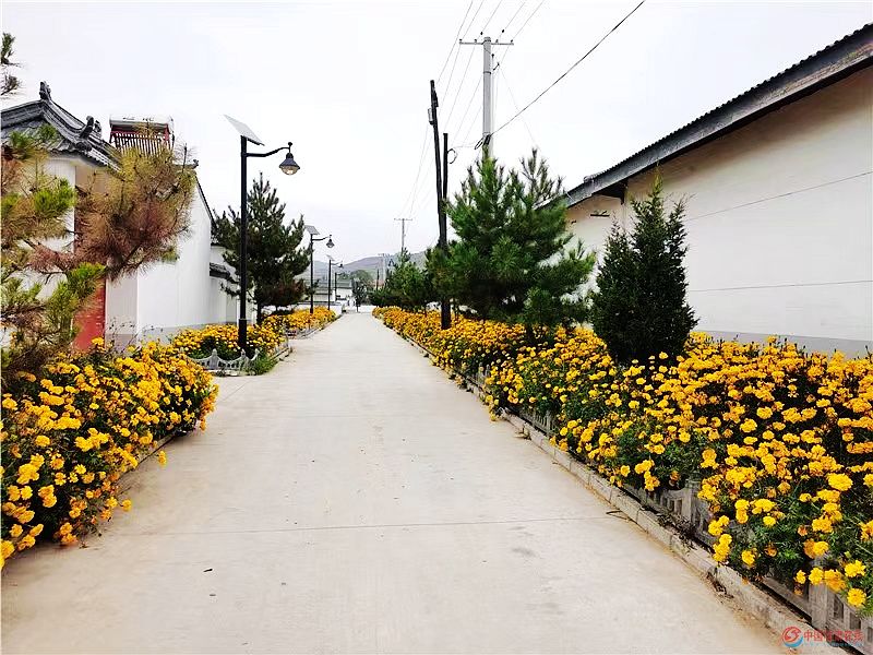 19ecfd8e059b6407598aba04dc6f9c64.jpg nEO_IMG_图片4.jpg