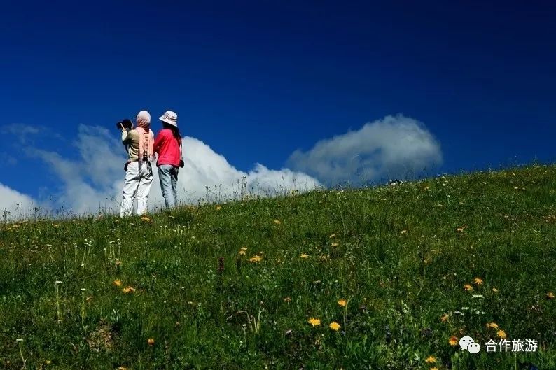 看草原美少女们是如何开启美颜模式的