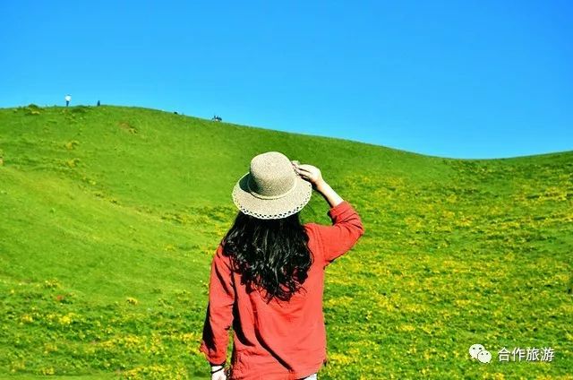 看草原美少女们是如何开启美颜模式的