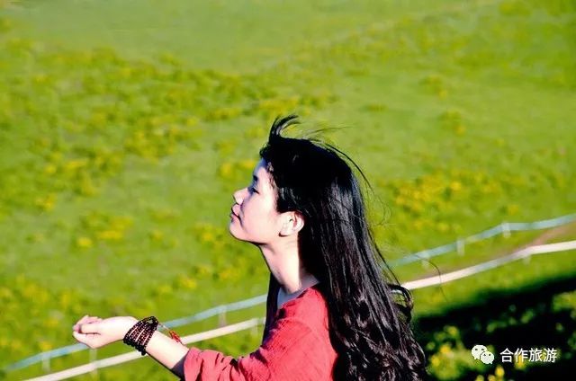 看草原美少女们是如何开启美颜模式的