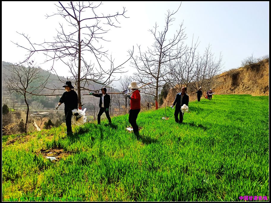 b784087c0e2d6177fb6db078c76f40b0.jpg nEO_IMG_图片3.jpg