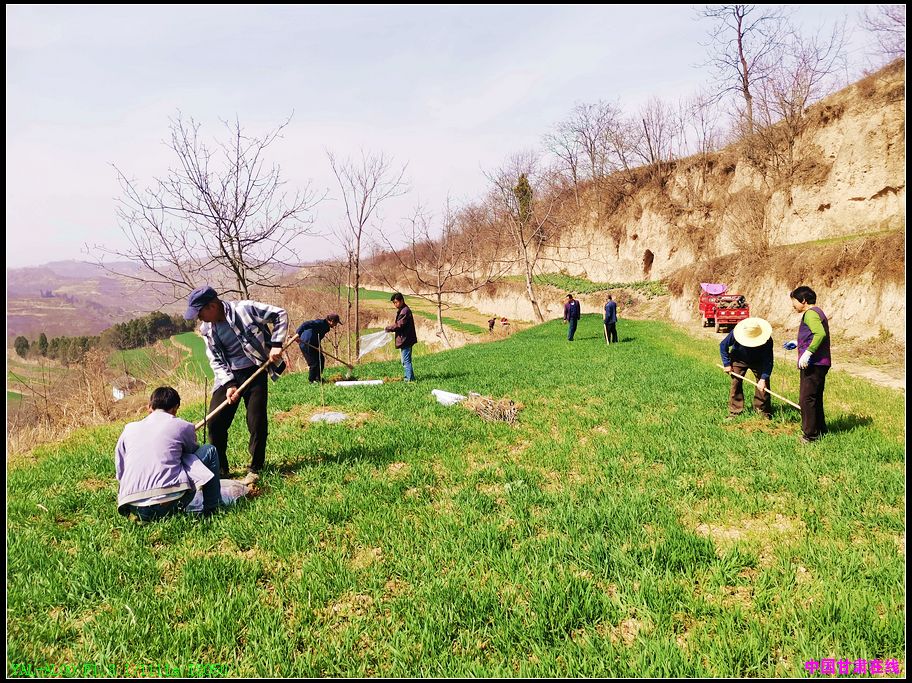 cc630e702a2bbc9b89738dfded30be57.jpg nEO_IMG_图片1.jpg