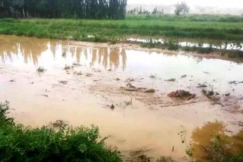 2b7e3ff539c3e996fc430468c61b0ce5.jpg 3.jpg